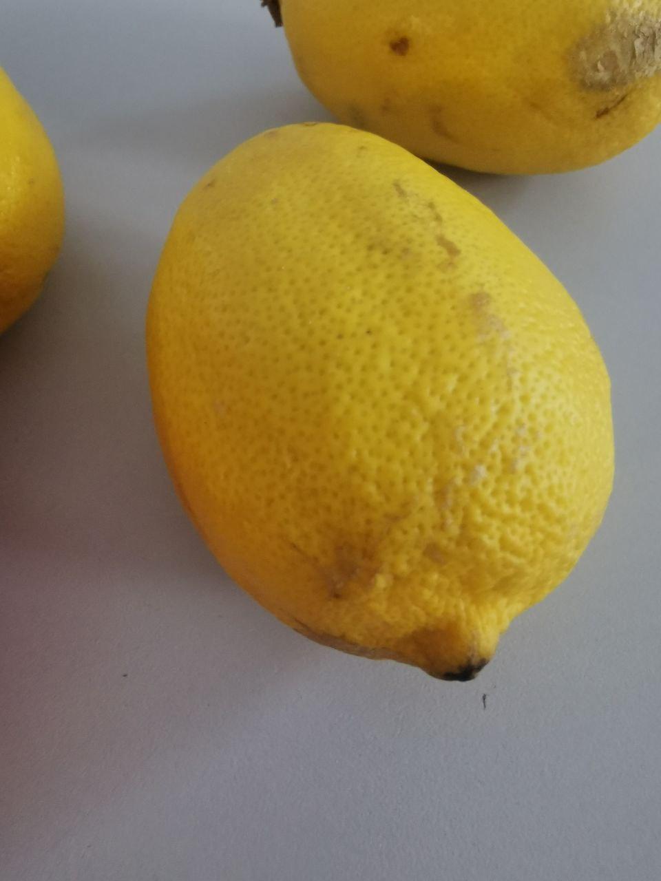 A group of lemons on a white surface

Description automatically generated