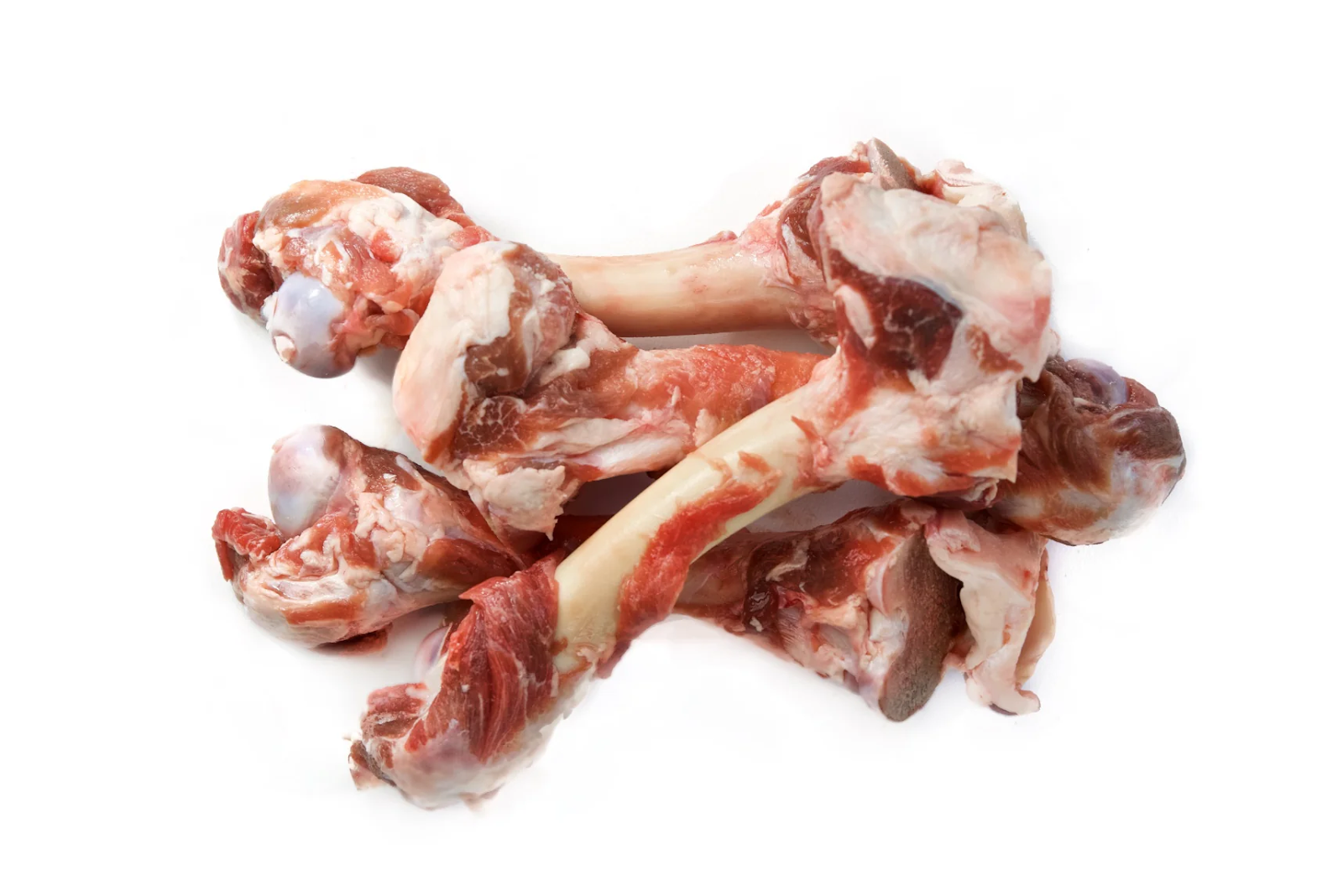 Raw and uncooked lamb bones