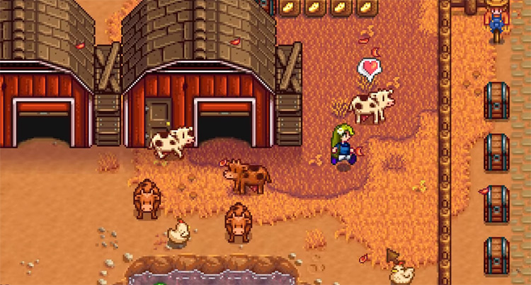 Loved Cow Stardew Valley