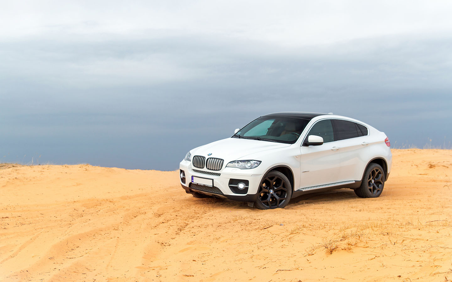 first generation in the History Of The BMW X6