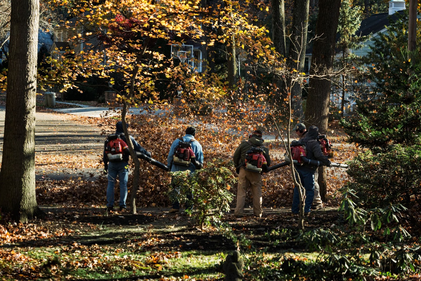 Leaf blowers are a scourge. Why is it hard to get rid of them?