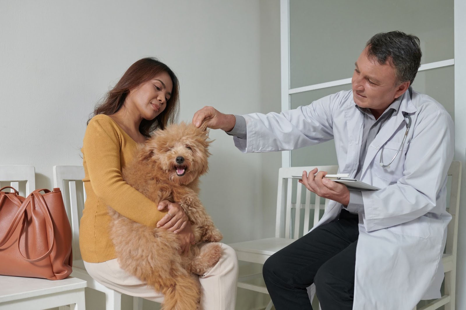 how to choose a family pet hospital
