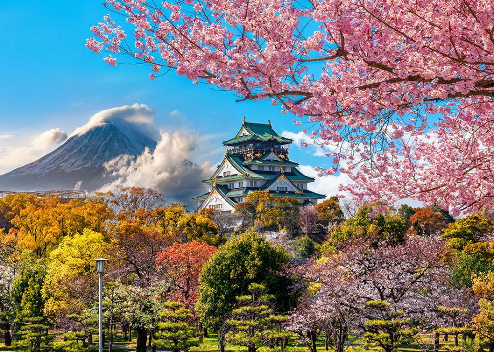 Osaka Castle in springtime with Mt. Fuji background.