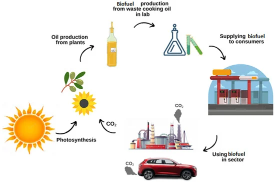 1. Biomass Refining