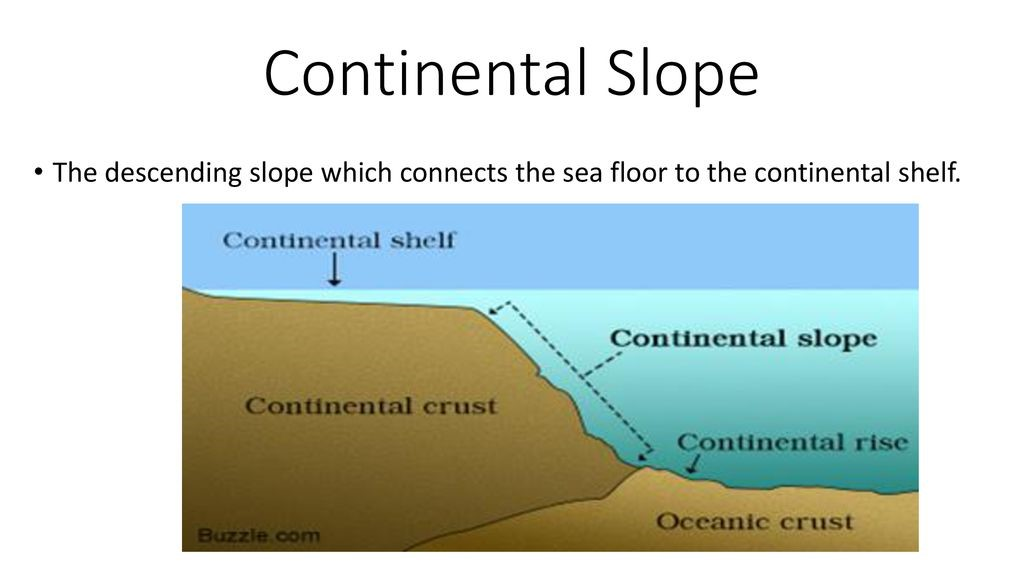 Continental Shape