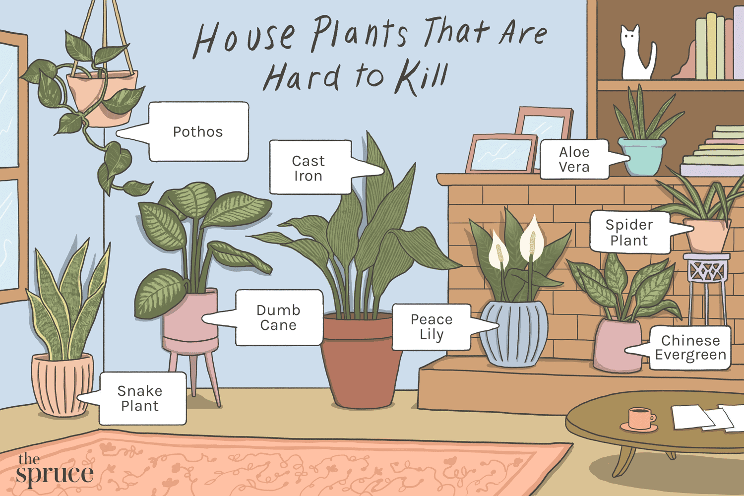 What Plant is the Easiest to Take Care Of?  