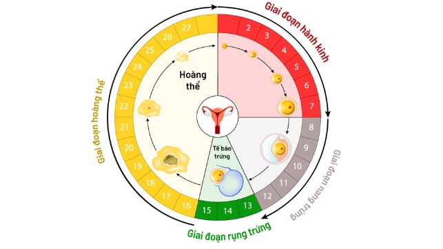 Giải đáp: Trước khi thử thai không nên làm gì? 4