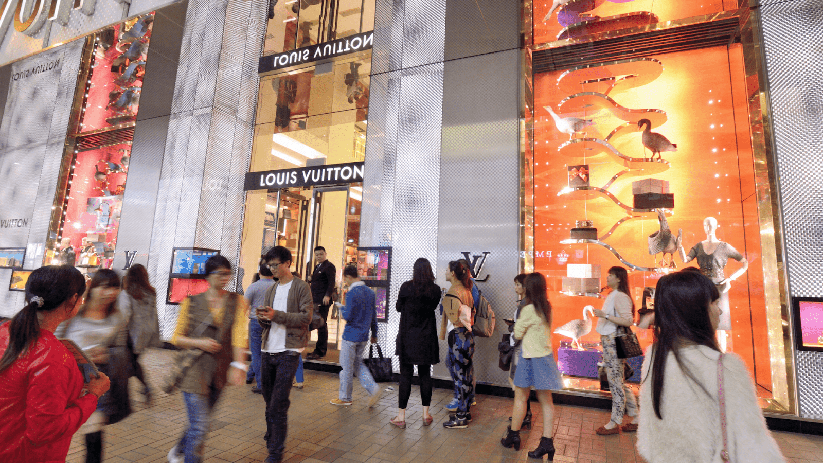 Elite Statement Luxury Brand Gallery