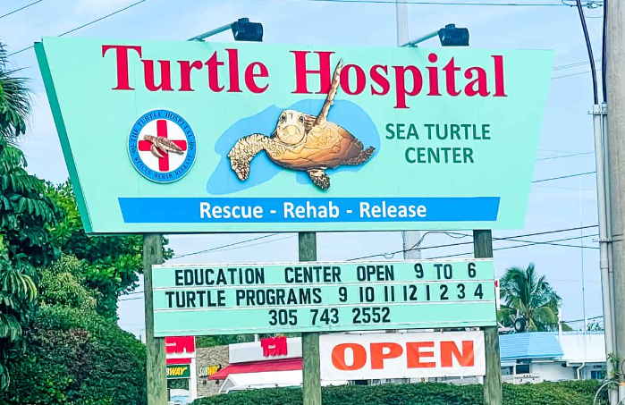 turtle hospital tours
