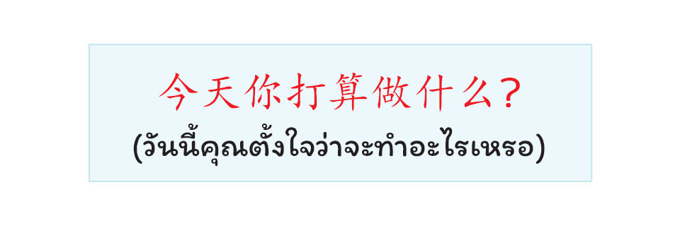 Chinese sentence with Thai meaning that mean what are you going to do today?