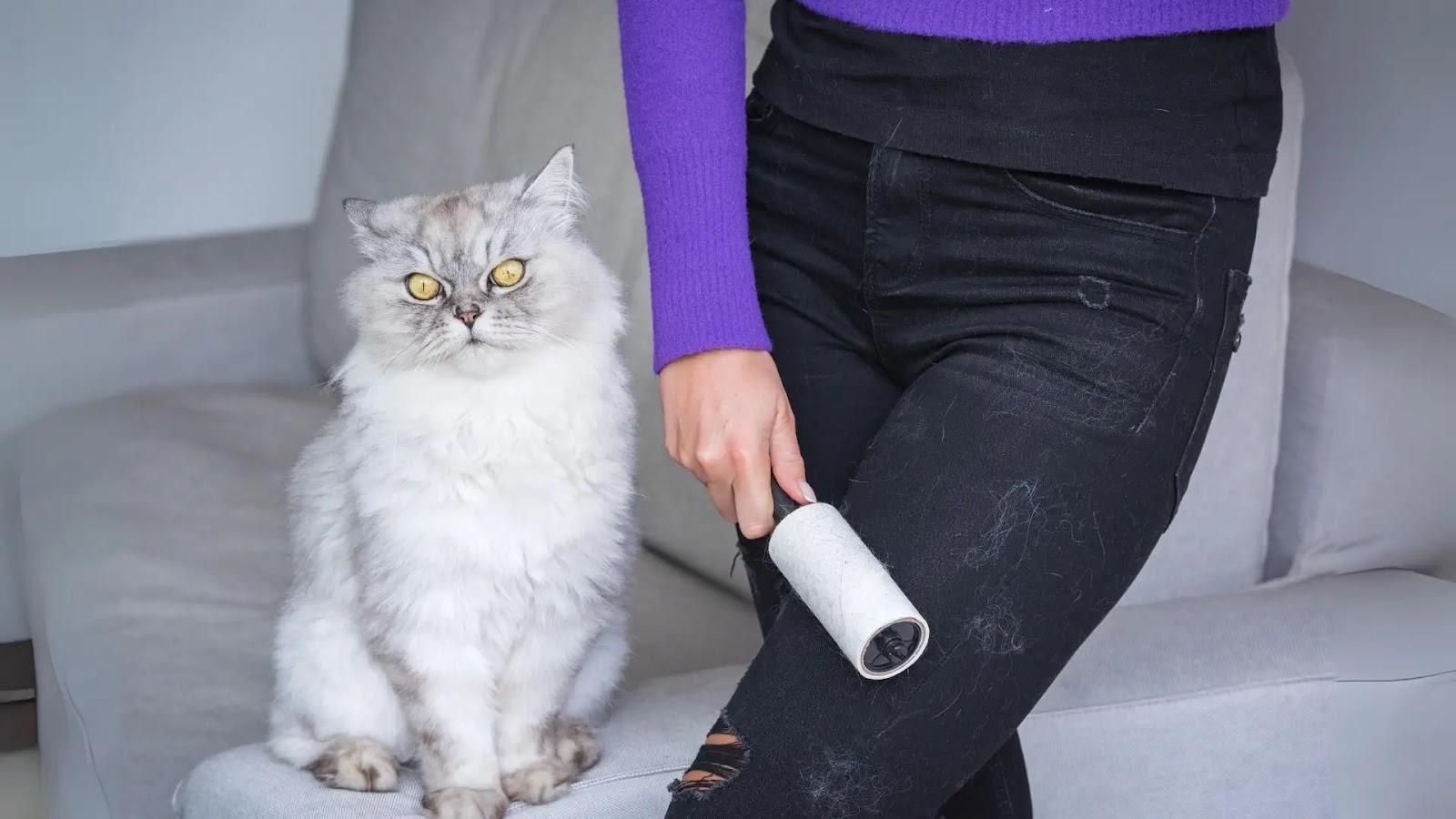 pet hair remover for laundry