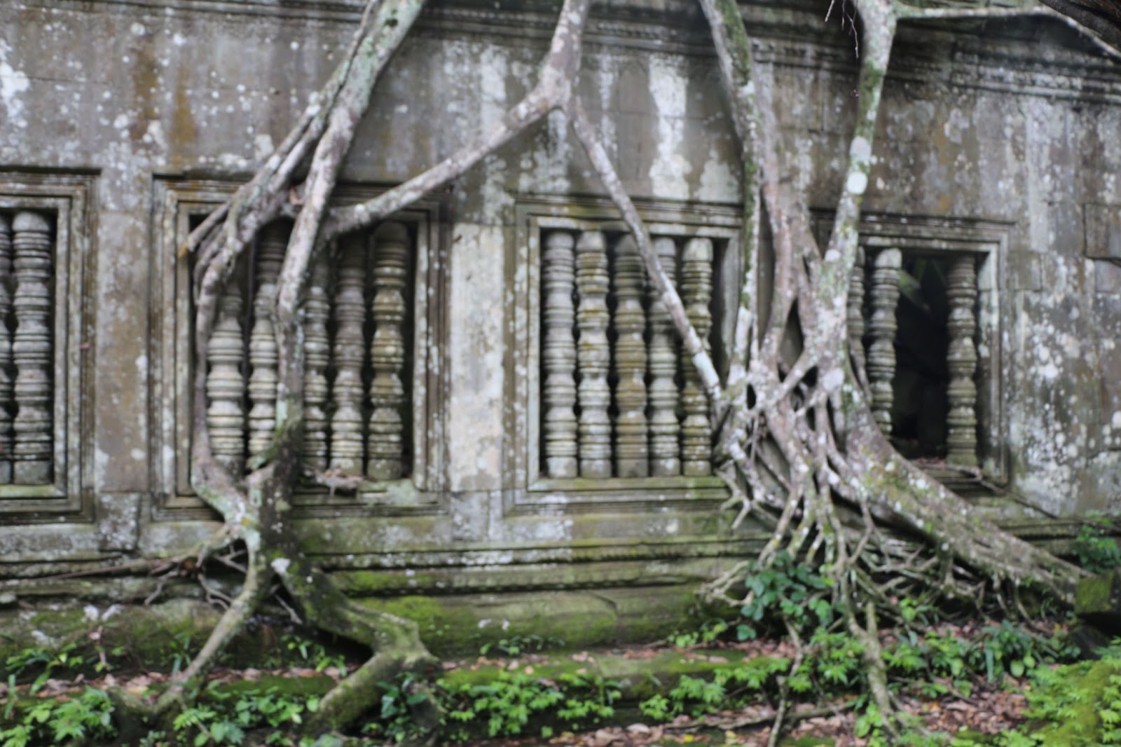 Beng Melea is an authentic and more satisfying jungle temple.