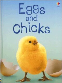 chick 2.jpg