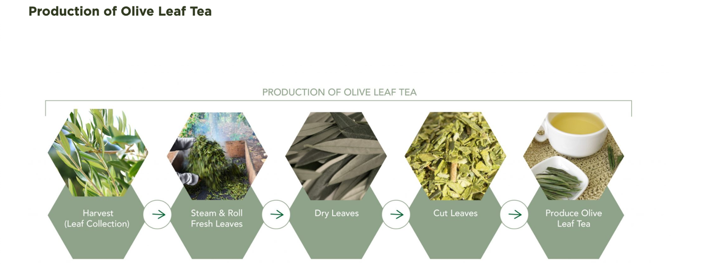 The Remarkable Health Benefits of Olive Leaf Tea