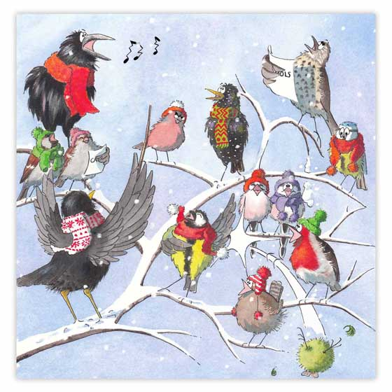 Rspb christmas store cards