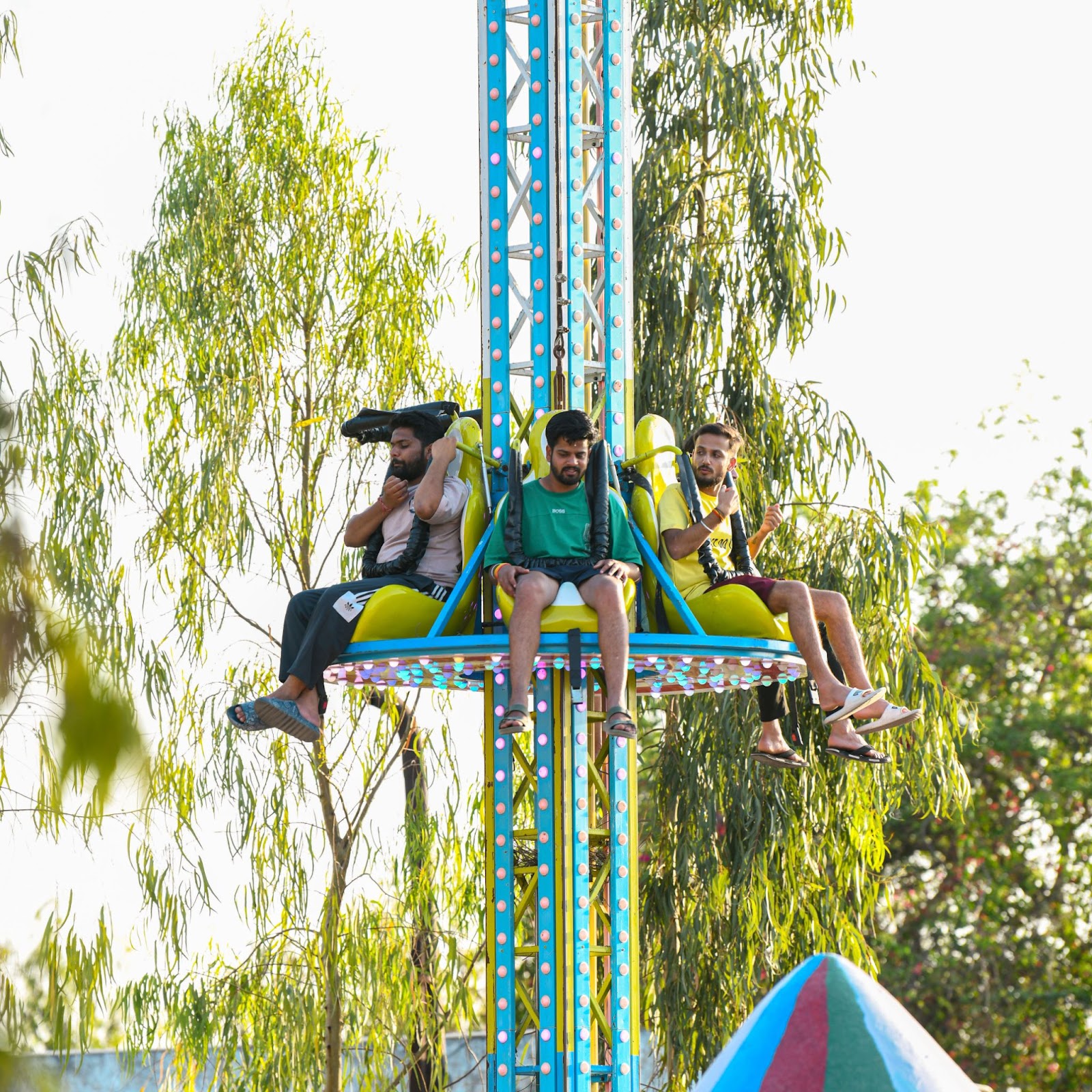 Flying Disk Ride in Pink Pearl