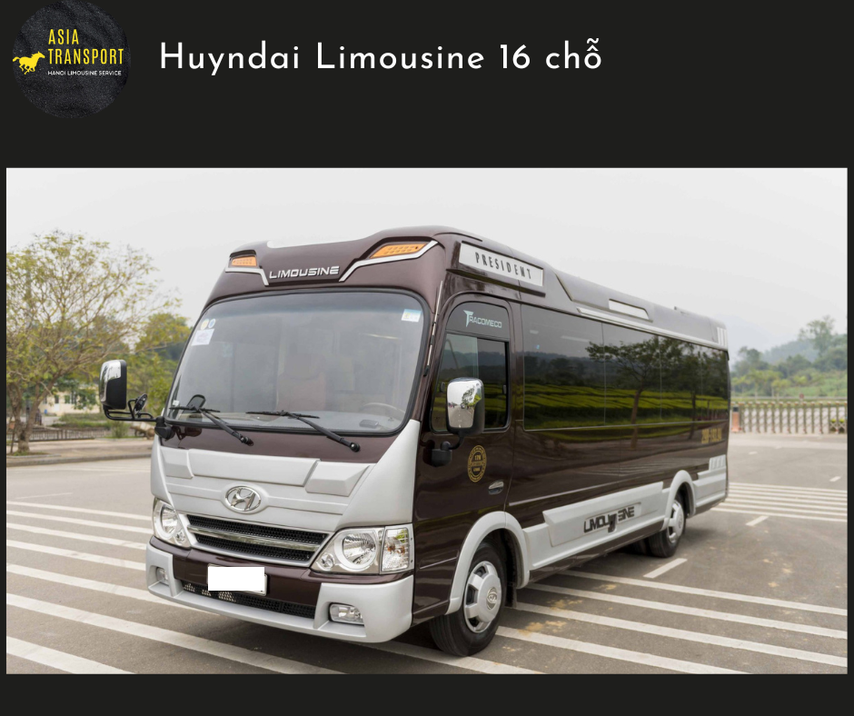Huyndai county Limousine 16, 18 chỗ (5).png