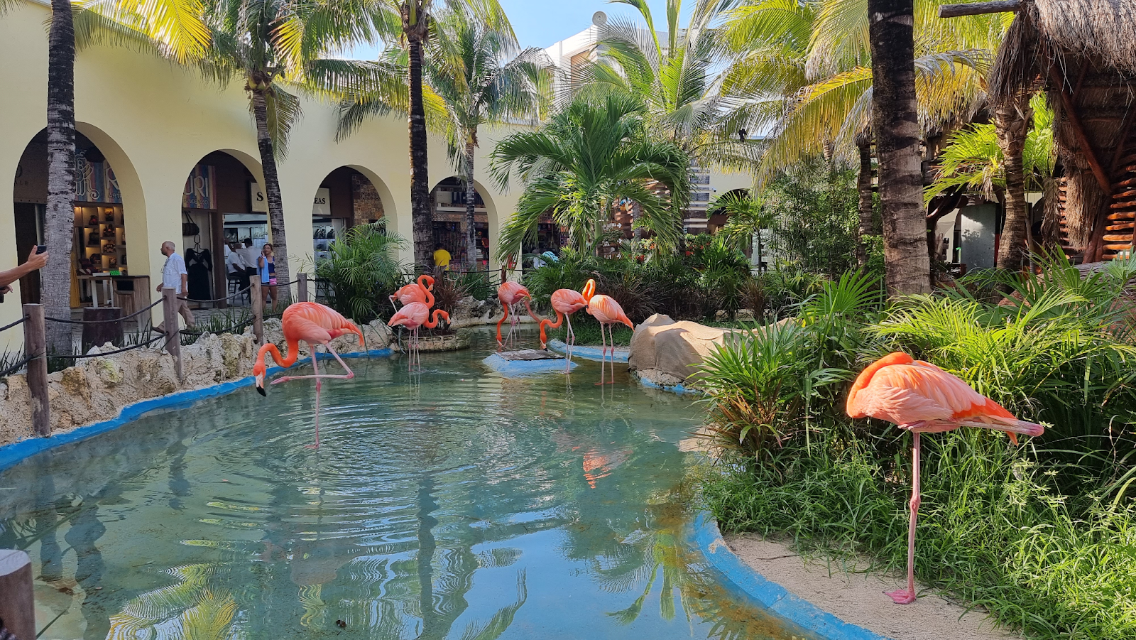 Flamingo Aviary Fountain