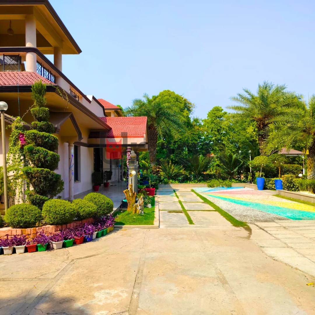 Farmhouse in Chattarpur For Party - Affordable Wedding Venues