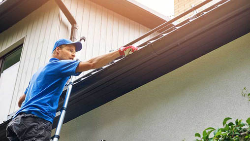 Essential House Maintenance