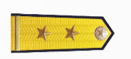 A yellow and black military insignia

Description automatically generated