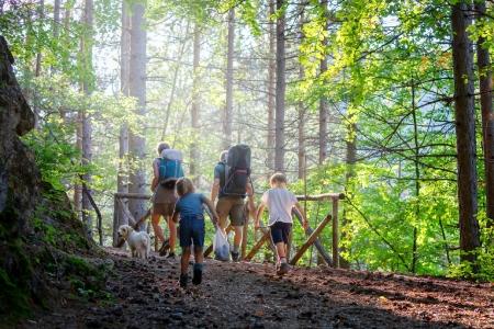 Obsah obrázku venku, turistika, zalesněná oblast, Státní park
Popis byl vytvořen automaticky