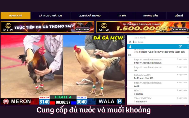 Cung cấp đủ nước và muối khoáng