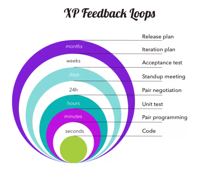 XP feedback loops