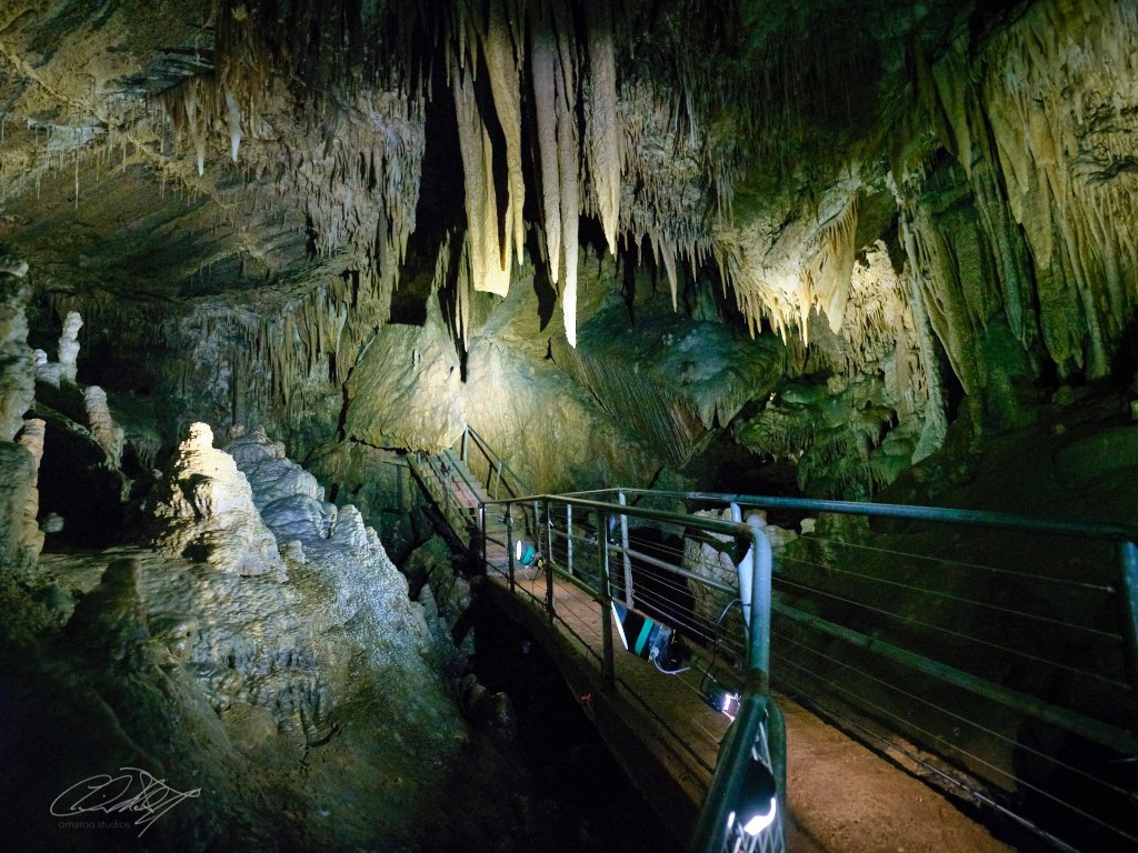 Tasmania's Best Tourist Destination - Gunns Plains Caves