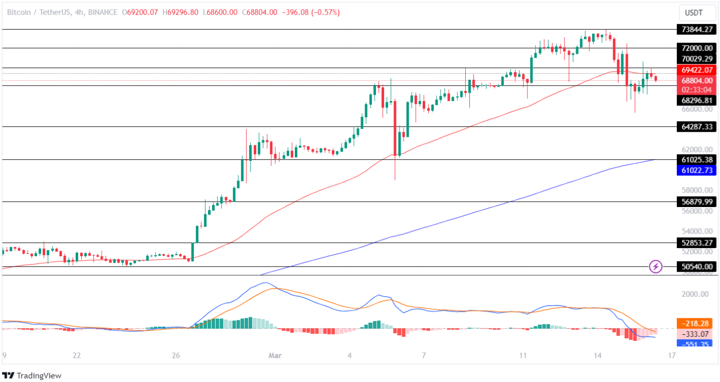 Bitcoin Price Analysis