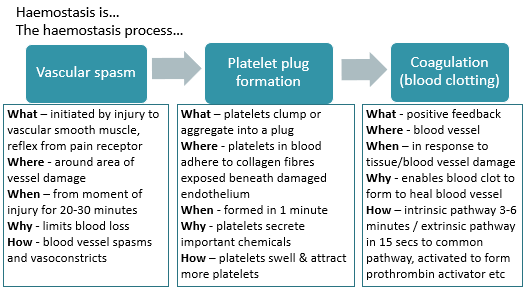Process diagram illustrated [haemostasis]