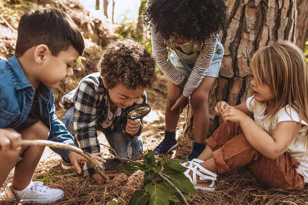 Creative Activities For Students Learning and Development - Outdoor Nature Exploration