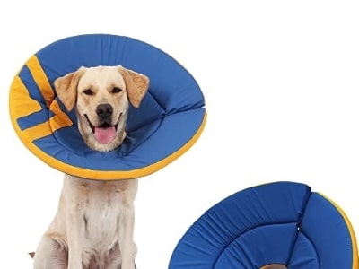 Alternative collars for dogs