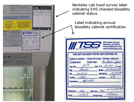 Berkeley Lab hood survey label indicating EHS checked biosafety cabinet status; Label indicating annual biosafety cabinet certfication