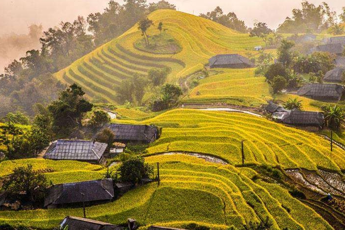 Visit Phung village, best place to see rice terraces Hoang Su Phi Ha Giang, Vietnam