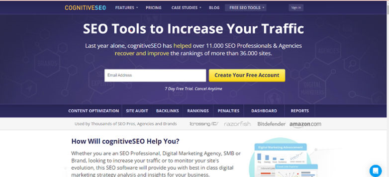 17 Best SEO Content Optimization Plans for Every Budget Softlist.io