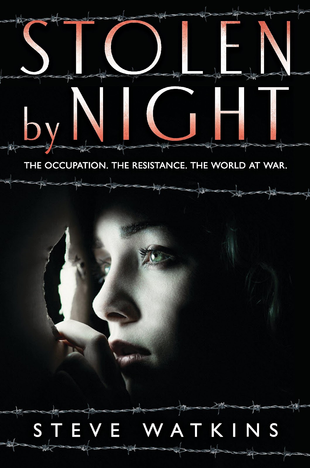 StolenByNight_cover.jpg