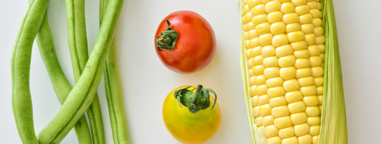 Culturas vegetais (vagem, tomate, milho).