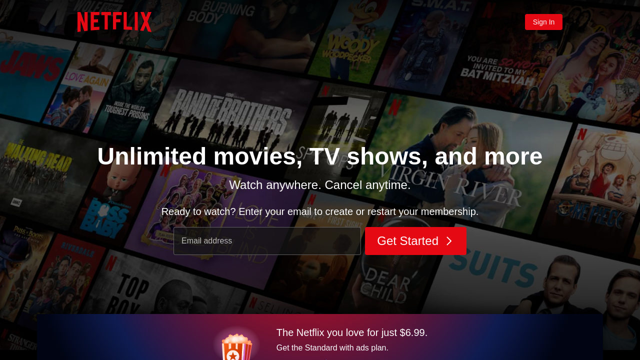 Netflix - audience-targeting data in the global market