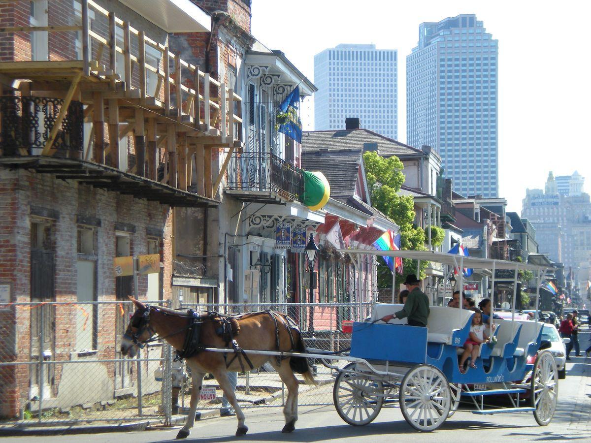Family-Friendly Activities in New Orleans