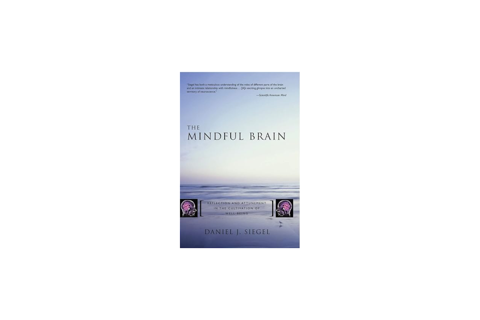 The Mindful Brain by Daniel Siegel