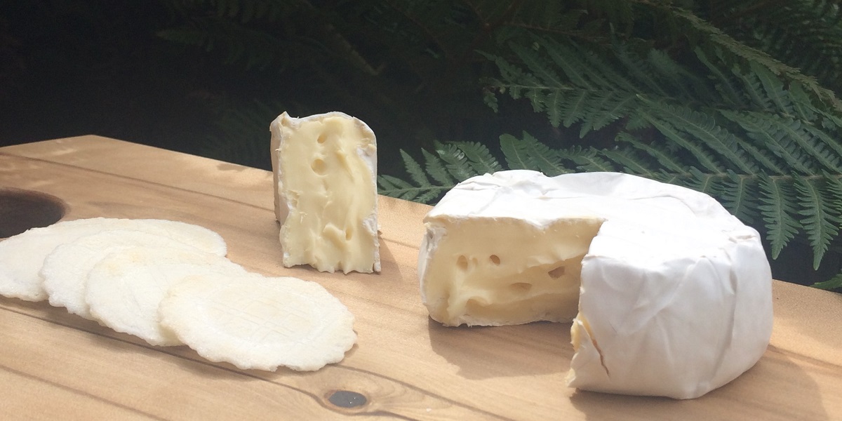 Wicked Cheese | Tasmania | gourmet cheeses | Richmond | cheesemaker