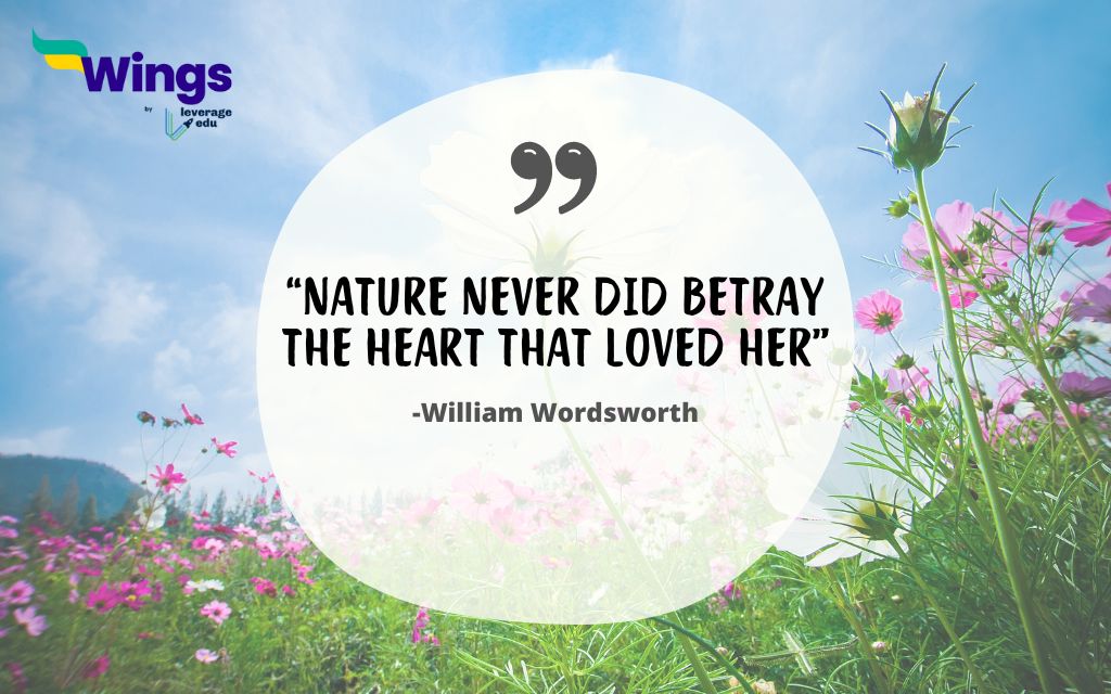 Nature Never did Betray the Heart that Loved Her

