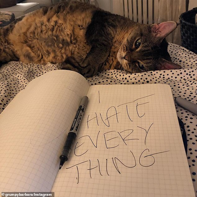 Hilarious: One photo from 2019 shows the cat curled up next to a notebook that has 'I Hate Everything' written across the page