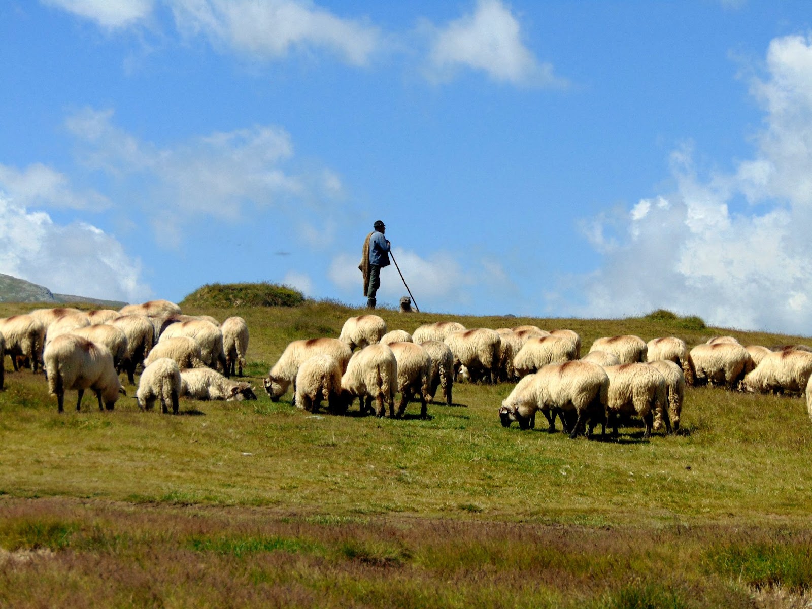 Tradizioni e cultura: Incontro con gli autentici abitanti delle zone montane