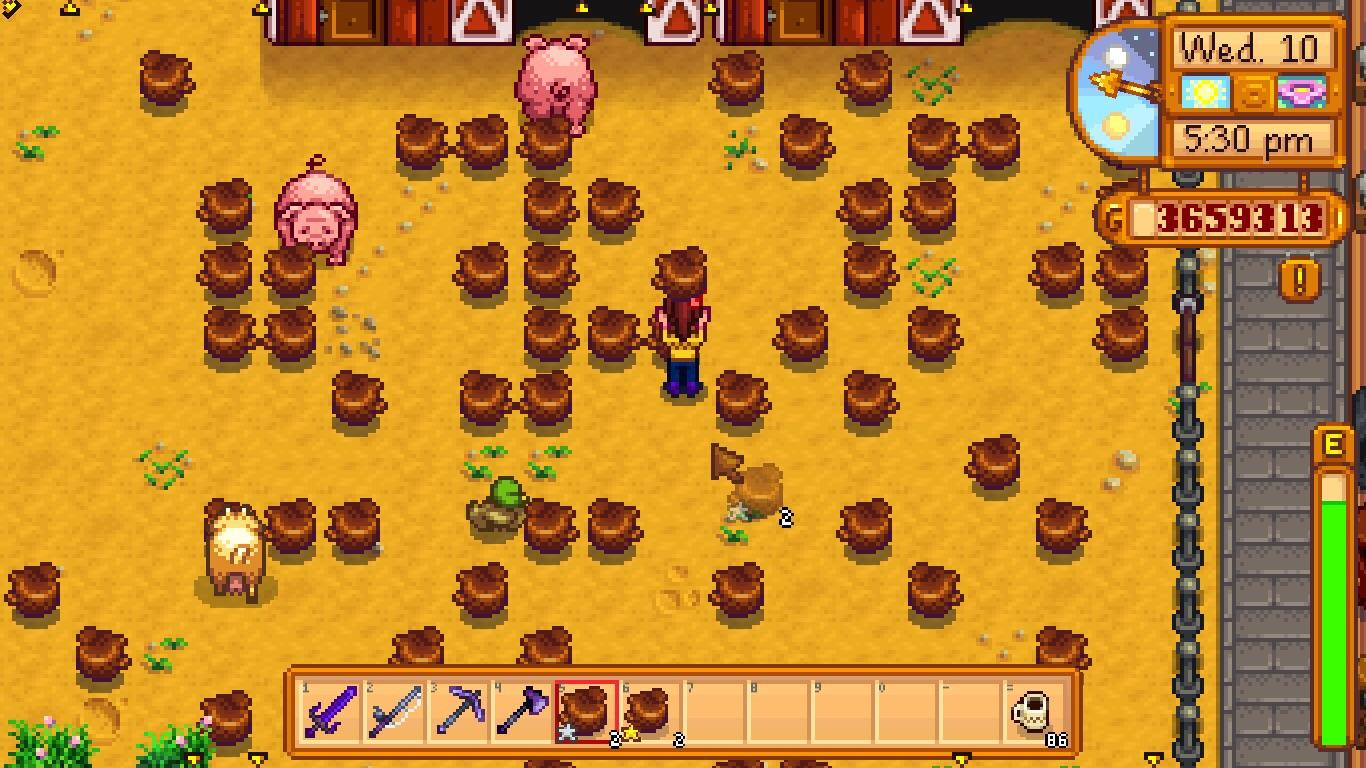 Pig truffles Stardew Valley