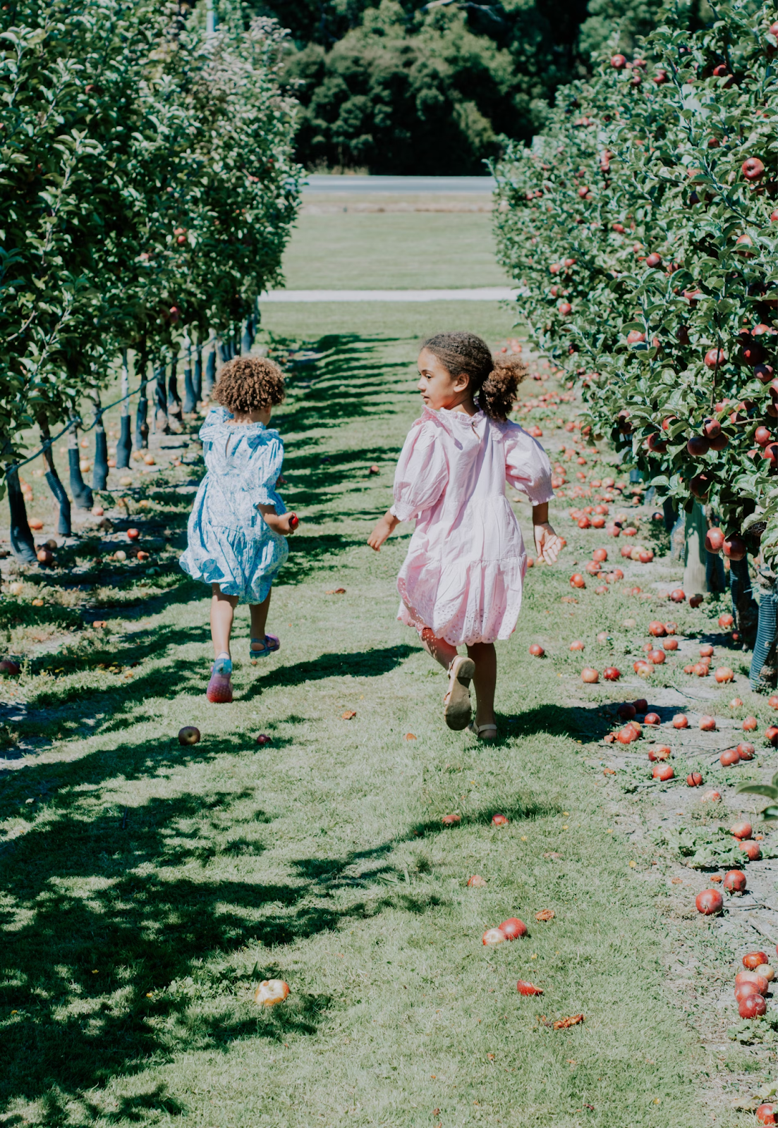 2 girls walking on apple field during daytime