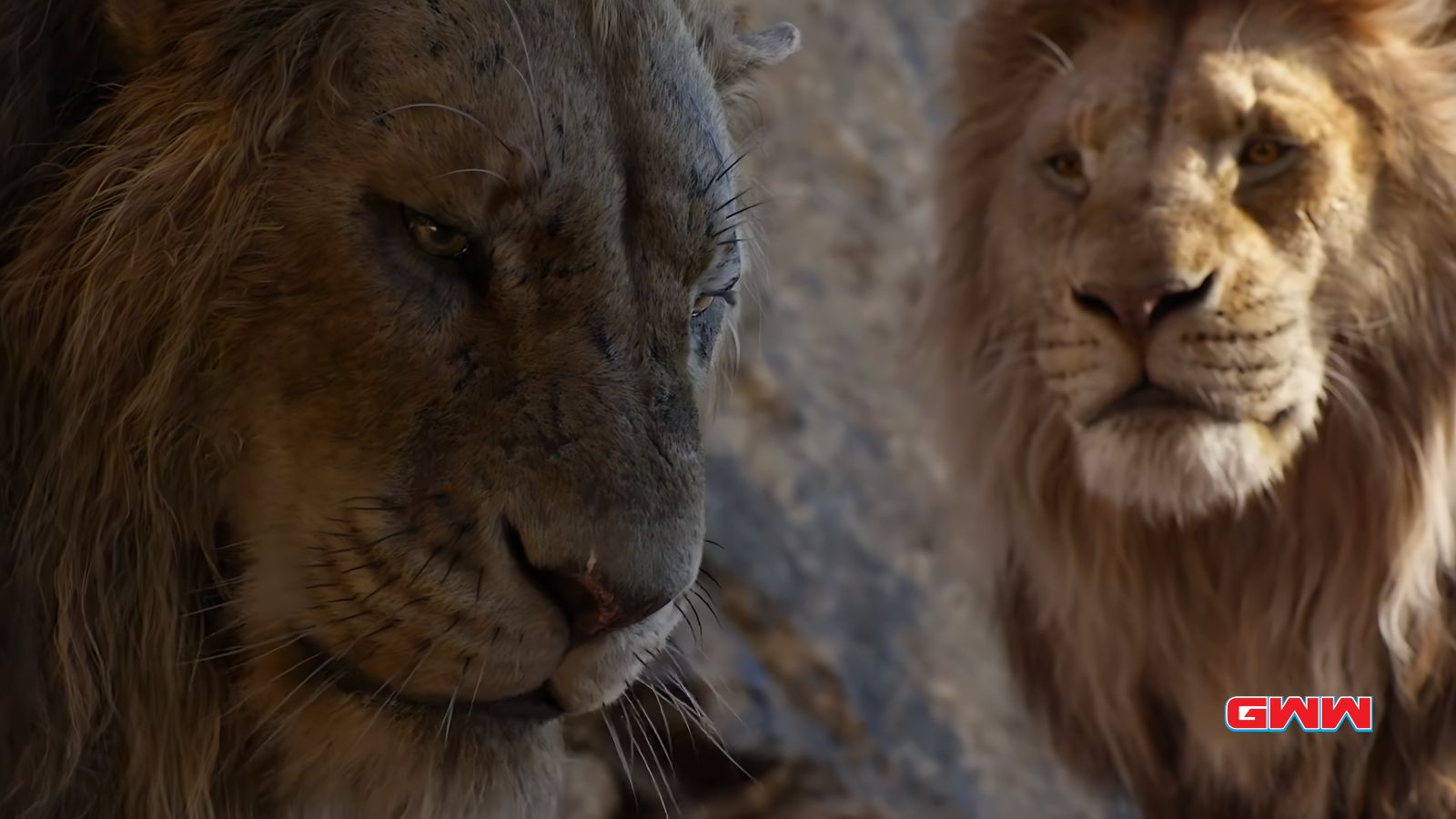 Mufasa y Scar hablando entre ellos por qué Scar no asistió a la presentación de Simba