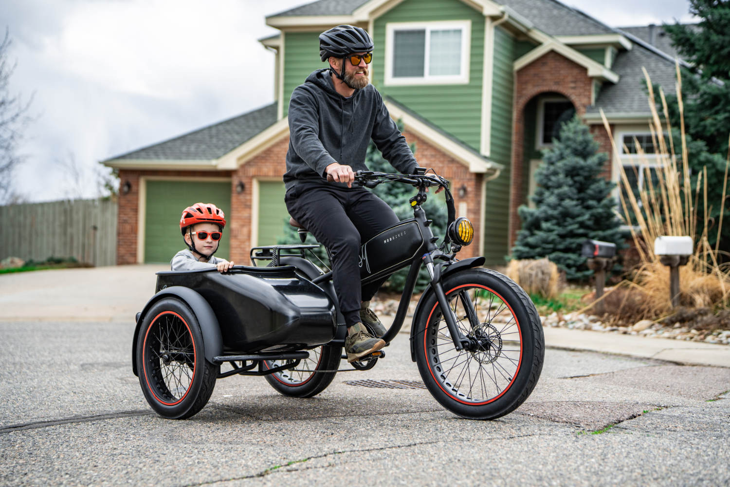 Bike With Sidecar  : Ultimate Adventure Companion