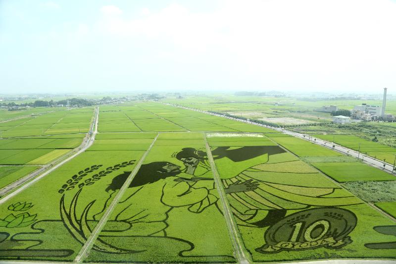 埼玉県行田市の世界最大の「田んぼアート」